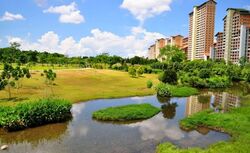 Blk 455 Sin Ming Avenue (Bishan), HDB 4 Rooms #569715581